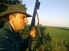 Članski avatar