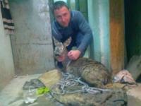 Blic piše: rudari spasili lane