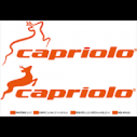 Sporazum LSV i firme Capriolo - članski popust