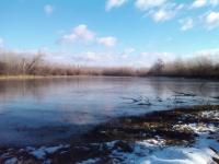 Čurug - komercijalni lov na divlje svinje