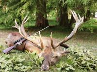 Počela je sezona lova na jelensku divljač