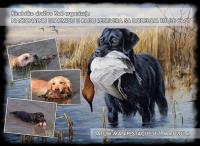 Nacionalna utakmica retrivera u radu