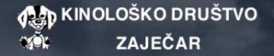 VI međunarodna izložba pasa svih rasa