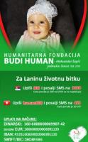 Humanost na delu