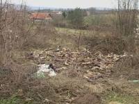 Pronađeno više od 50 leševa odranih lisica, kuna i šakala