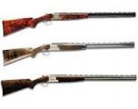 Izmena direktive EU oko ružja