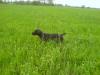 dsc02809_t1.jpg