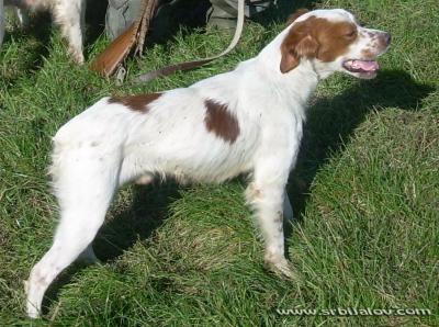 Epanjel Breton