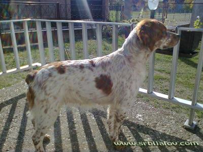 EPANJEL BRETON