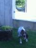 img0021a_t1.jpg