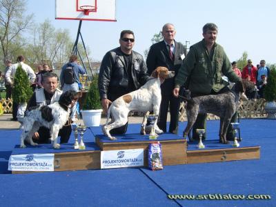 Vršac 2009