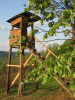3366img_1042_t1.gif
