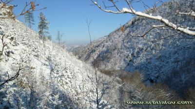 Pogled sa ceke