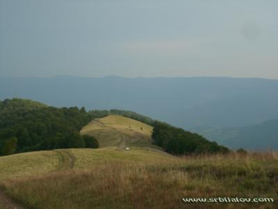 Javorje