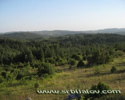 pogled za odmor