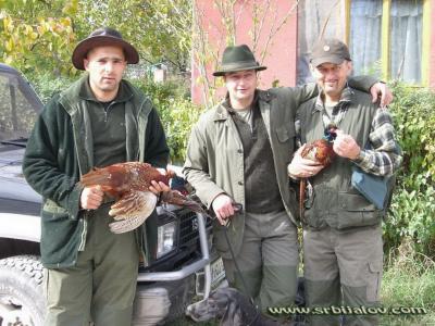 Igor, Dobrica i Biba