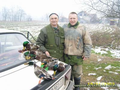 Lov na patke u Kolubari