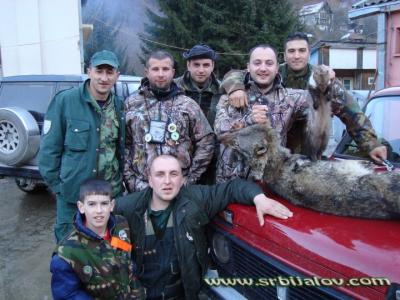 Hajka na vuka