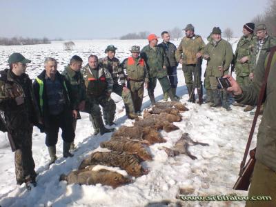 Hajka u Miloševcu 06.02.2011
