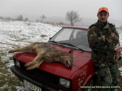 danasnjahajka(20.02.11)